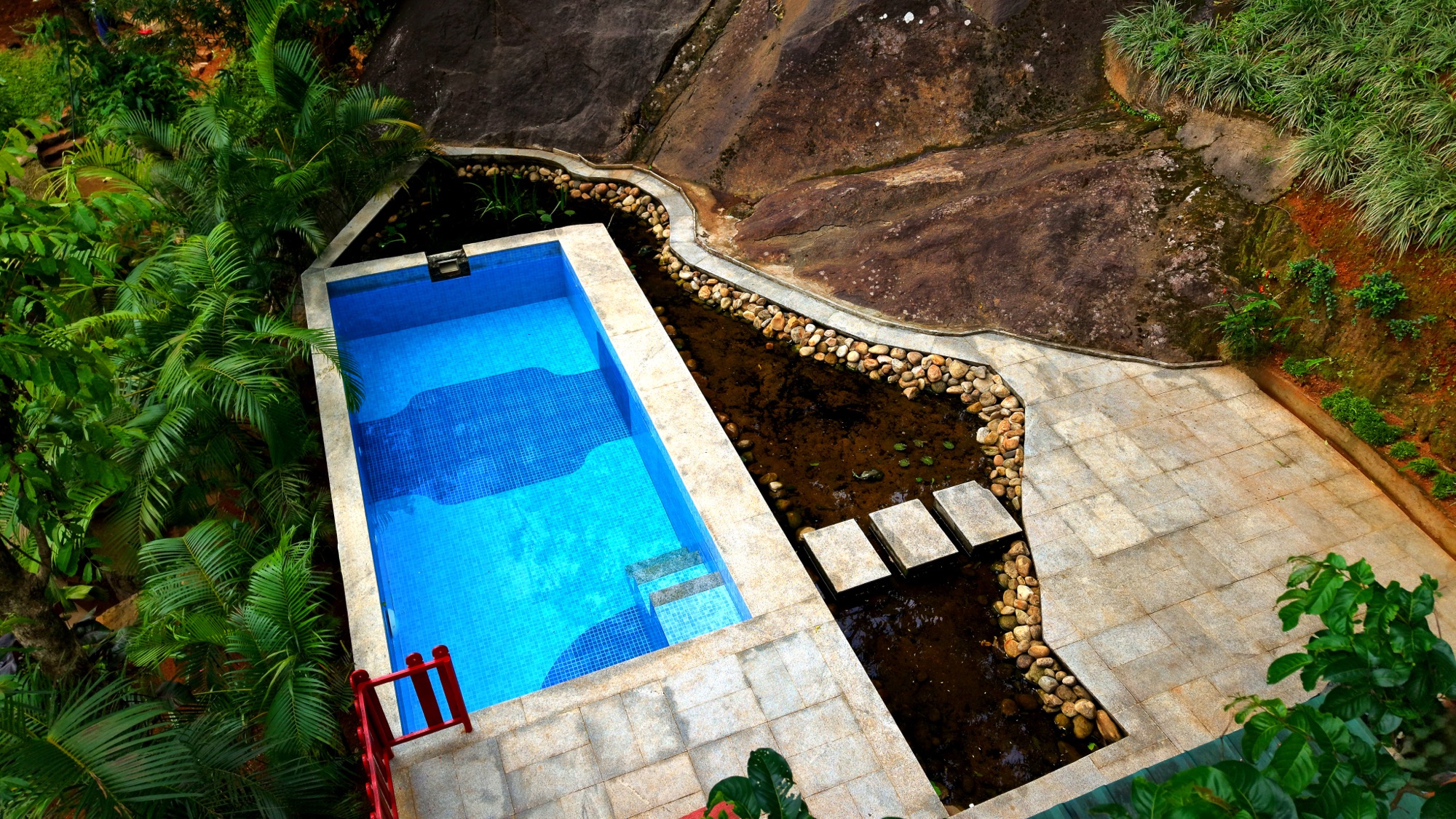 Rock Pool