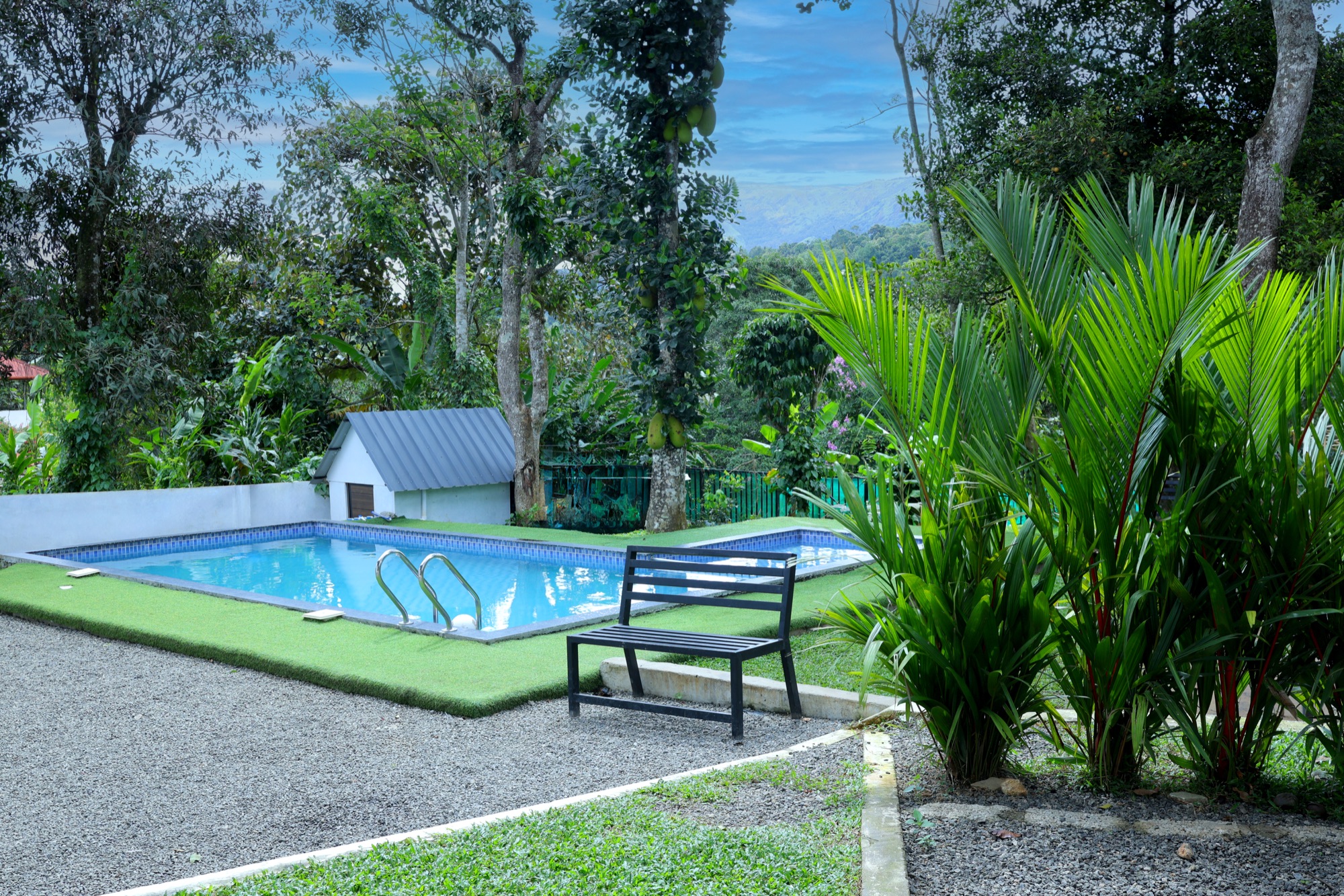 Garden Pool